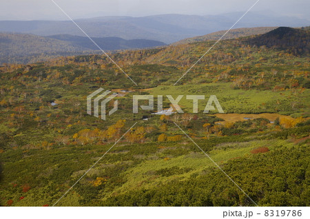 大雪山旭岳ロープウェイ姿見駅から沼の平 8319786