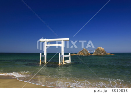 桜井二見ヶ浦の夫婦岩 桜井二見ヶ浦の夫婦岩 8319858