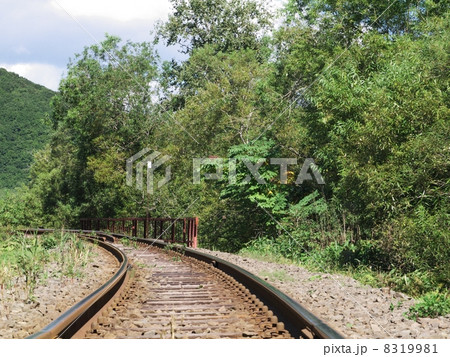 釧網本線　細岡駅付近 8319981