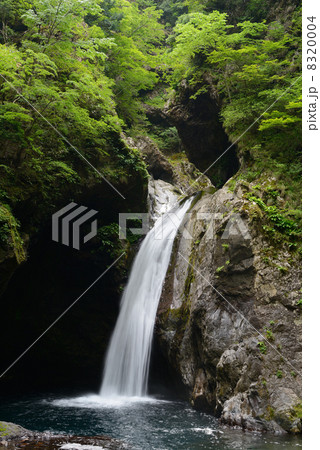 大釜の滝 8320004