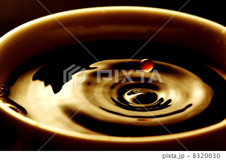 コーヒー コーヒー 8320030