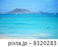 カイルアビーチ 8320283
