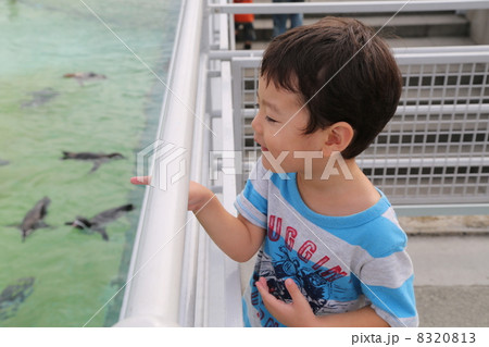 ペンギンさん気持ちよさそう~ ペンギンさん気持ちよさそう~ 8320813