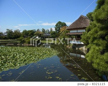 衆楽園(津山) 衆楽園(津山) 8321115