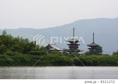 大池から望む薬師寺 大池から望む薬師寺 8321252