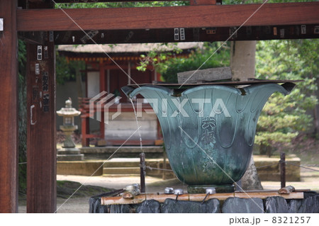 薬師寺 手水舎 薬師寺 手水舎 8321257