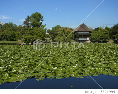 衆楽園（津山） 8321994