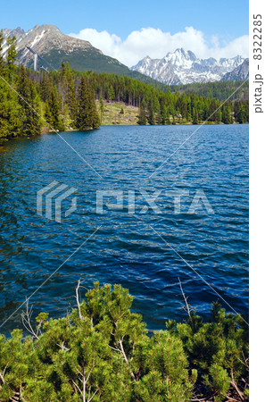Strbske Pleso (Slovakia) spring view. 8322285
