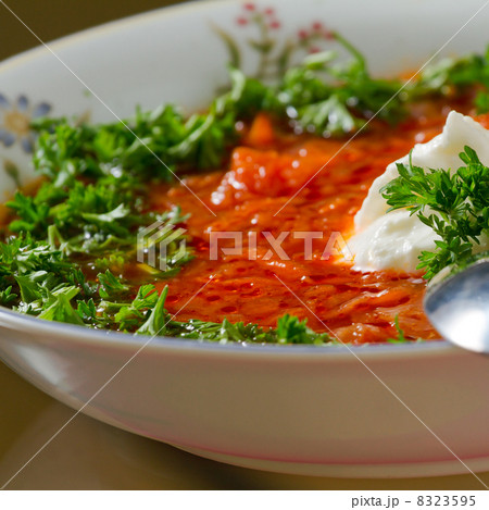 Borsch Borsch 8323595