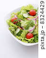 野菜だけのサラダ 8324429