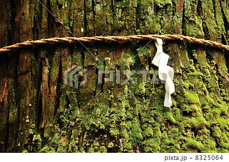 内尾神社 8325064