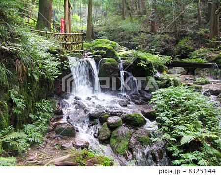 名勝瓜割の滝 名勝瓜割の滝 8325144