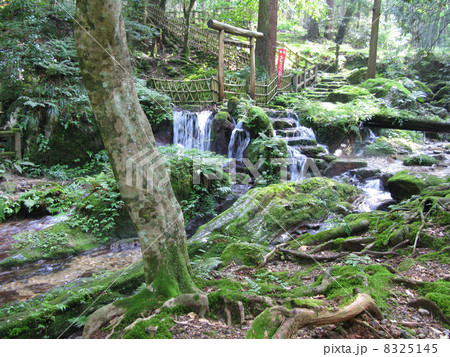 名勝瓜割りの滝 8325145