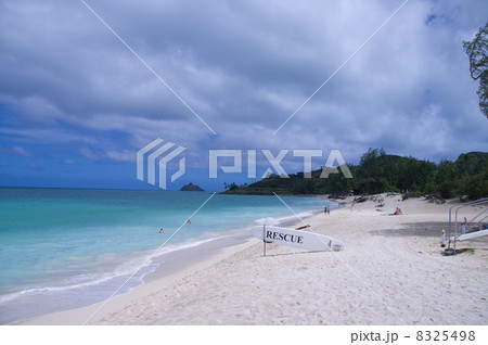 ハワイ カイルアビーチ 8325498