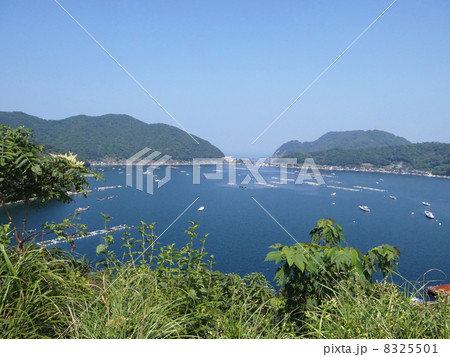 日向湖 日向湖 8325501