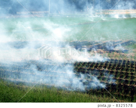 米収穫後の田焼き（秋の風景） 8325578