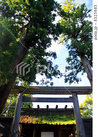 伊勢神宮外宮 伊勢神宮外宮 8325685