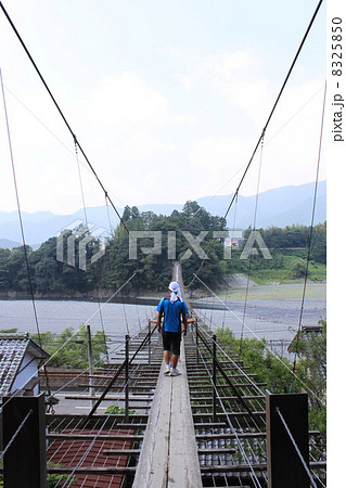 塩郷の吊橋 8325850