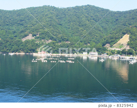 常神半島世久見湾 常神半島世久見湾 8325942