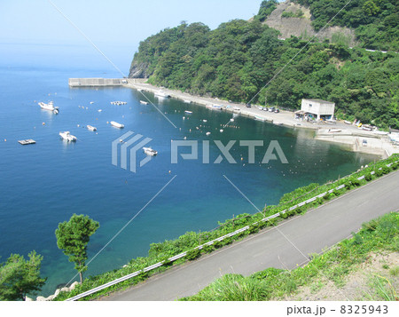 常神半島世久見湾 常神半島世久見湾 8325943