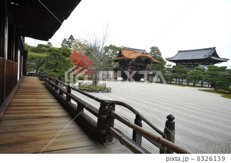 京都　御室御所　仁和寺 8326139