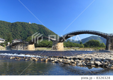 夏の岩国錦帯橋　早朝 8326328