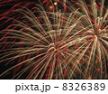 あつぎ鮎まつり大花火大会２０１３ 8326389