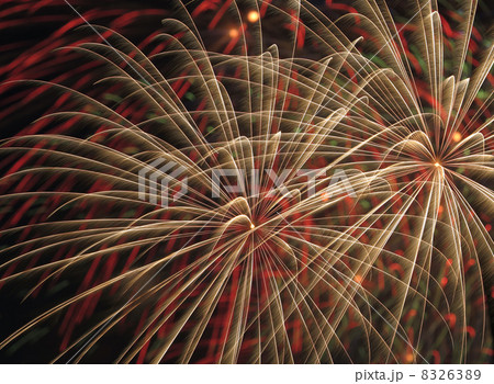 あつぎ鮎まつり大花火大会２０１３ 8326389