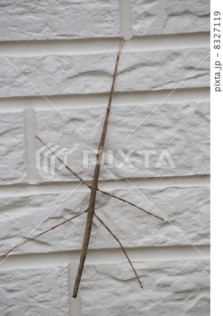 夏は… 夏は… 8327119