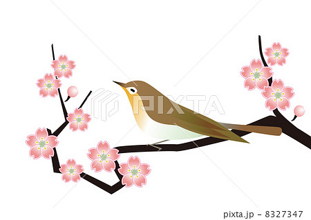 梅に鶯 8327347