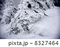 樹氷ー海老 8327464