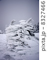 樹氷ー山頂 8327466