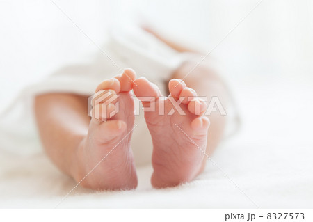 3 weeks old 3 weeks old 8327573