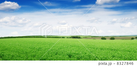 meadow and blue sky 8327846