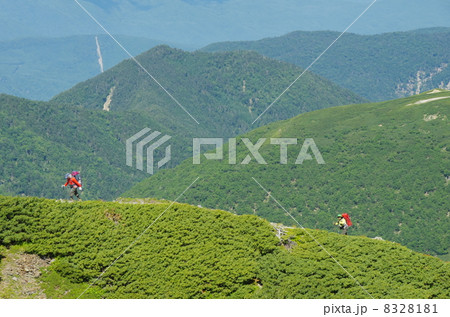 農鳥岳を登る登山者 農鳥岳を登る登山者 8328181