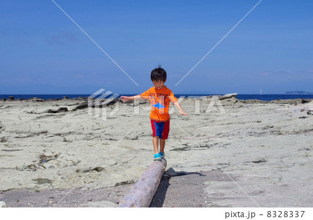 流木で遊ぶ子供 流木で遊ぶ子供 8328337