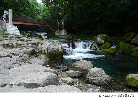 菊池渓谷 8328375