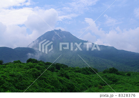 平成新山 8328376