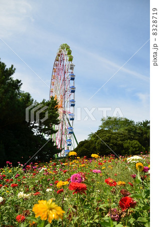 フラワーガーデン フラワーガーデン 8328719