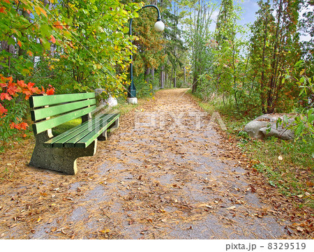 Pathway Pathway 8329519