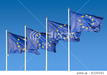 European Union Flags European Union Flags 8330562