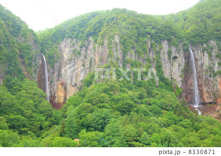 新緑の米子大瀑布 8330871