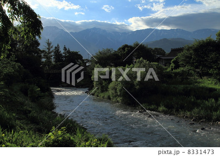 北アルプス　白馬連峰と大出地区吊り橋 8331473