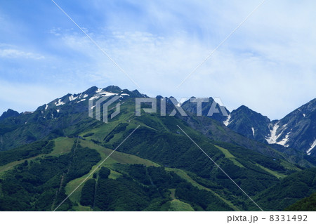 北アルプス　白馬連峰と八方尾根・五竜 8331492