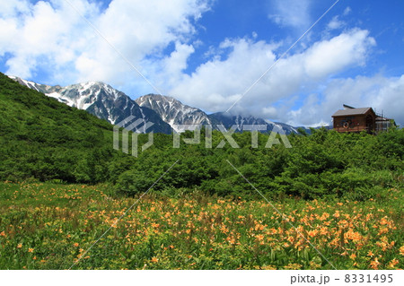 北アルプス　白馬連峰と八方尾根・五竜 8331495