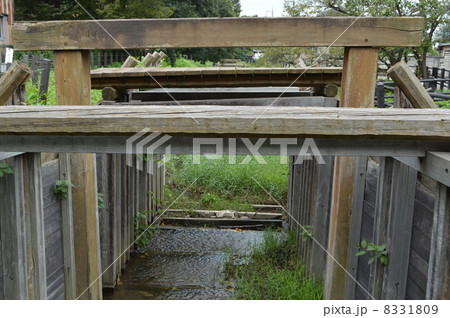 見沼通船堀 8331809