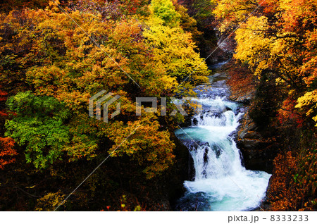 鳳鳴四十八滝 8333233