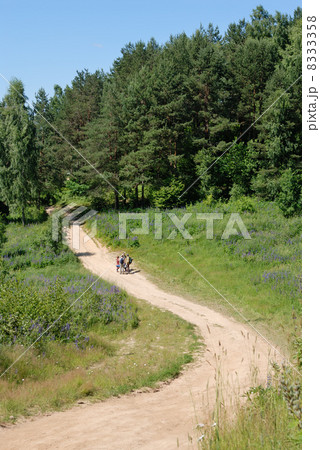 Country road 8333358
