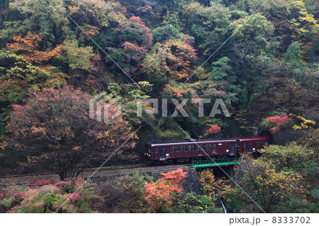 渡良瀬渓谷鉄道 8333702