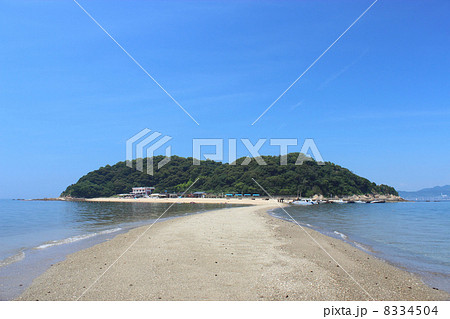 三河大島 8334504